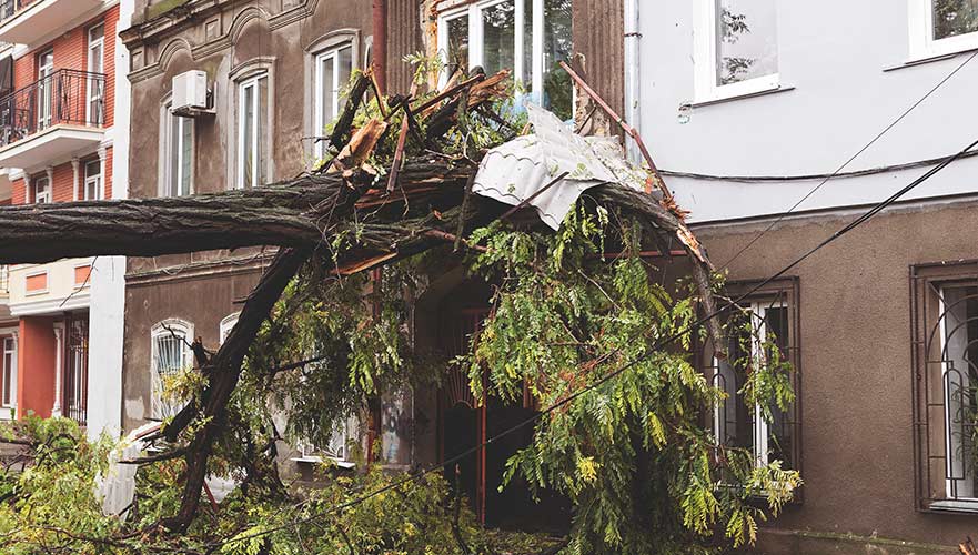 safetywindowfilmhurricaneprotection AP Tinting