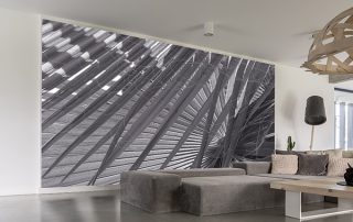 Indoor Wall Mural
