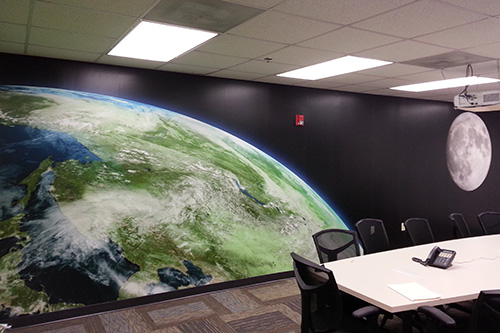 Vinyl Wall Murals