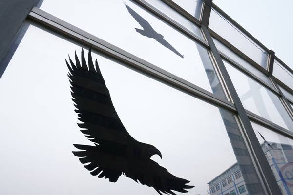 bird-collision-prevention-window-film