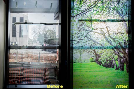 custom-window-stick-installation-washington-dc