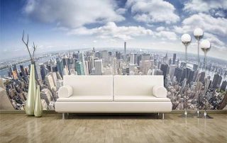 washington-dc-wall-mural-company