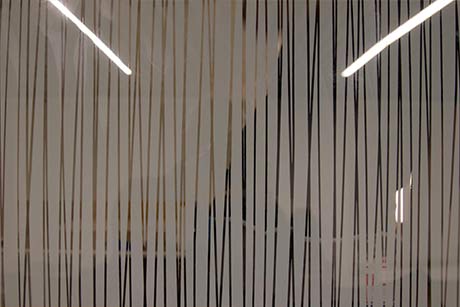 window-graphics-company-in-washington-dc