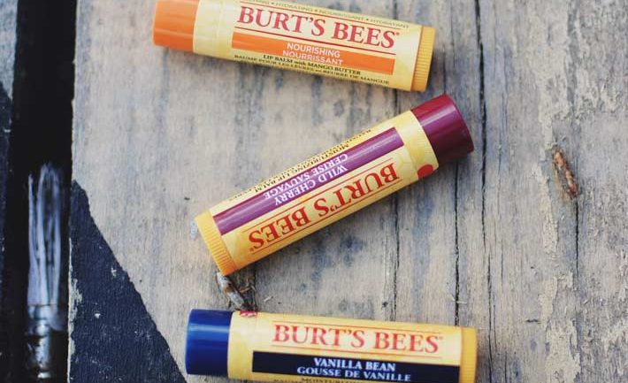 burts-bees-window-film-case-study
