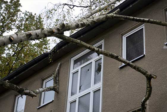 north-carolina-window-c-bond-systems north-carolina-window-c-bond-systems