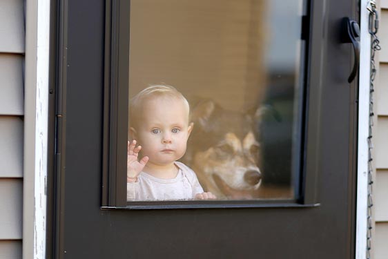 north-carolina-window-protection-cbond north-carolina-window-protection-cbond
