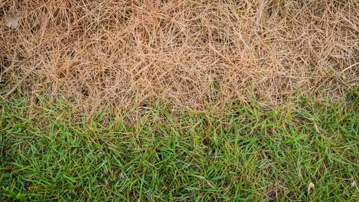 window-film-burning-grass-window-film-melts-siding window film burning grass window film melts siding