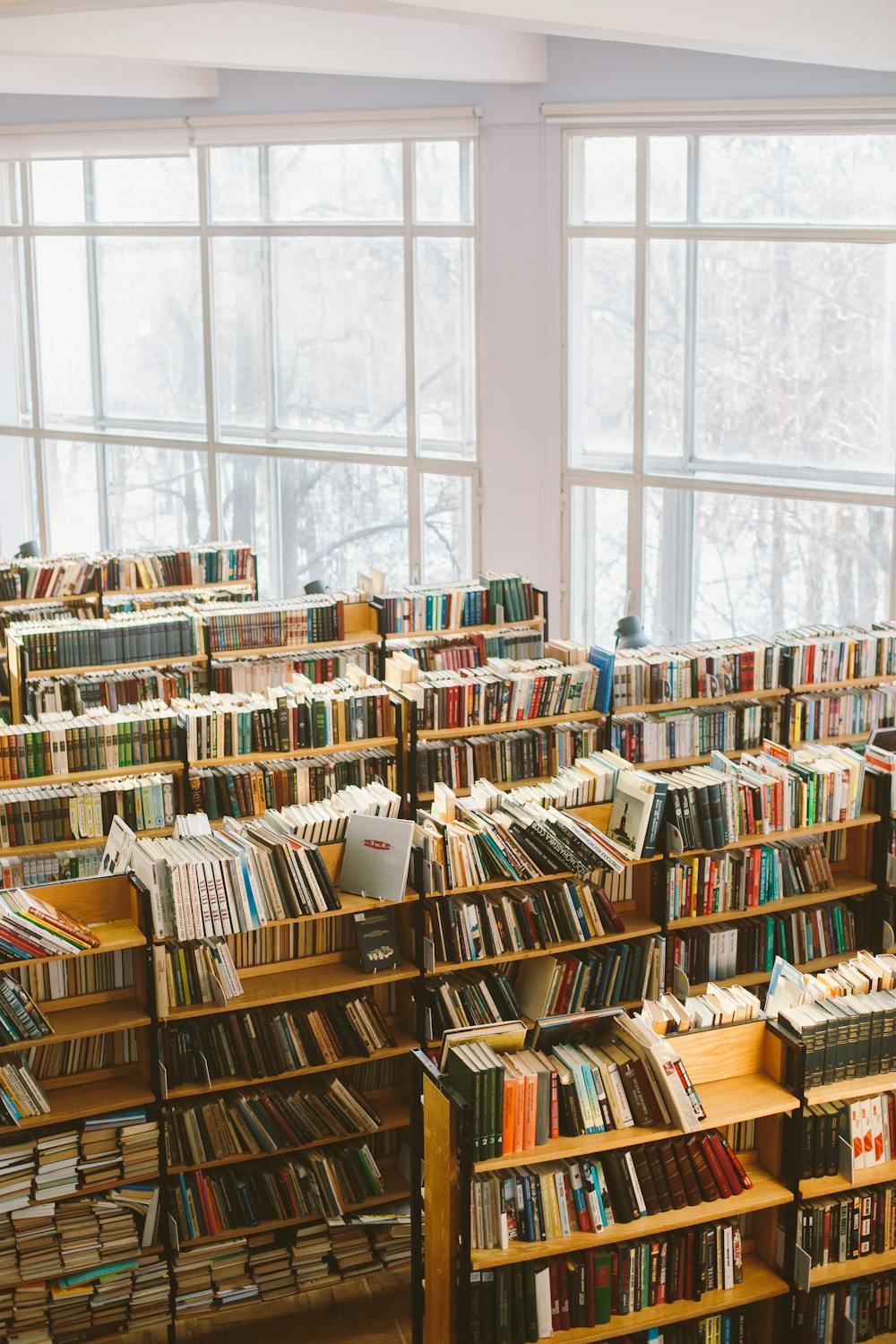 School library against a large expanse of windows.