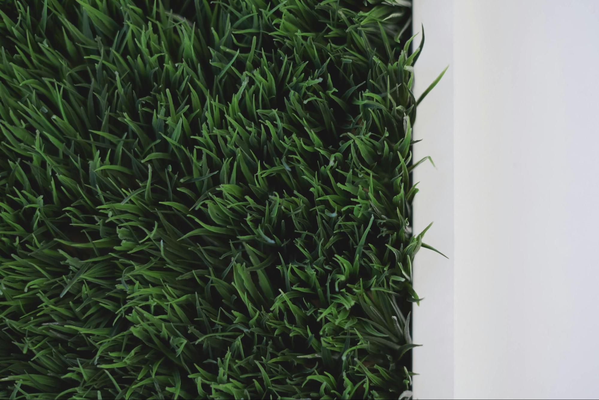 Astro Turf