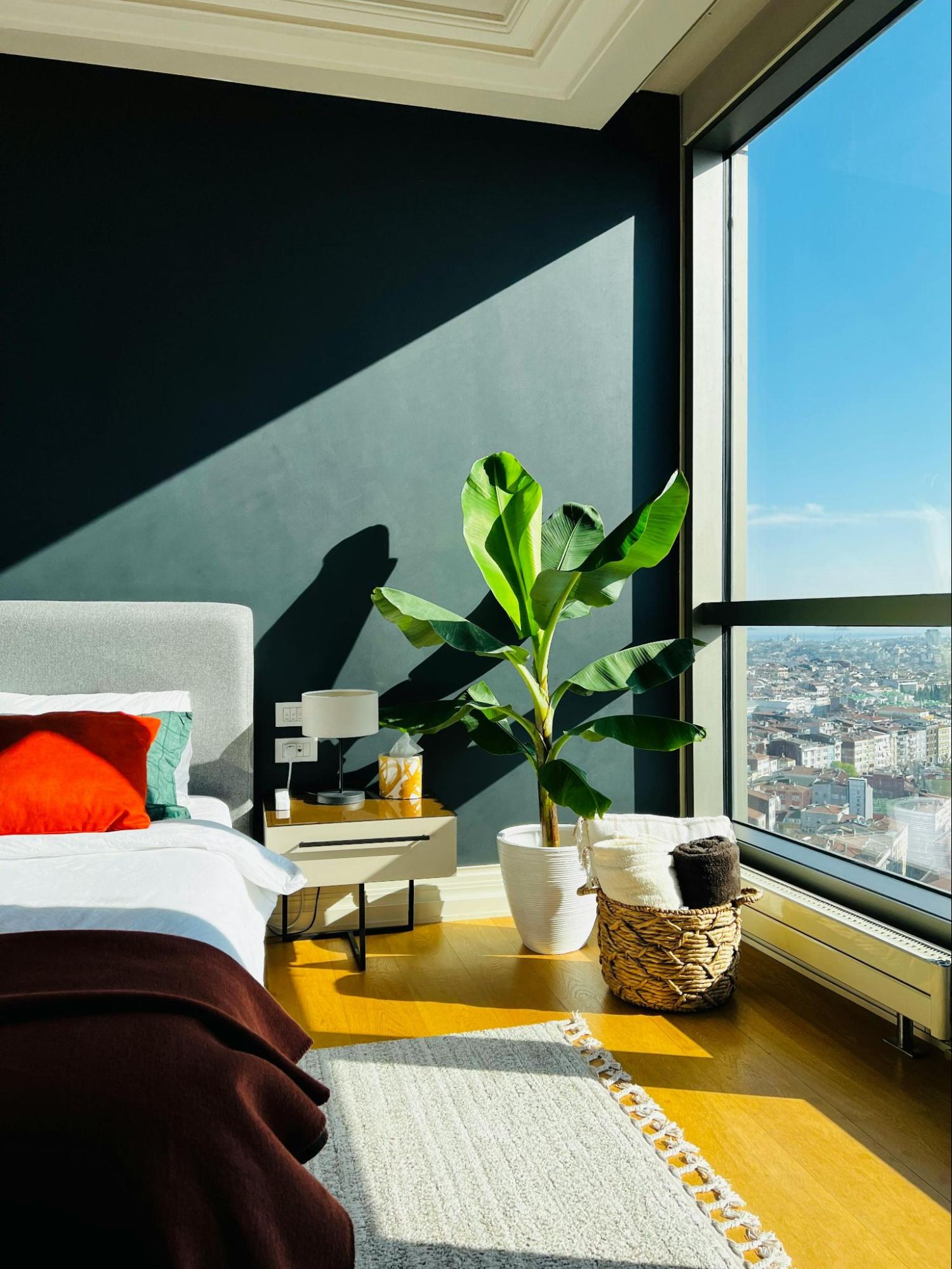 Bedroom Next to Sunny Window and House Plant