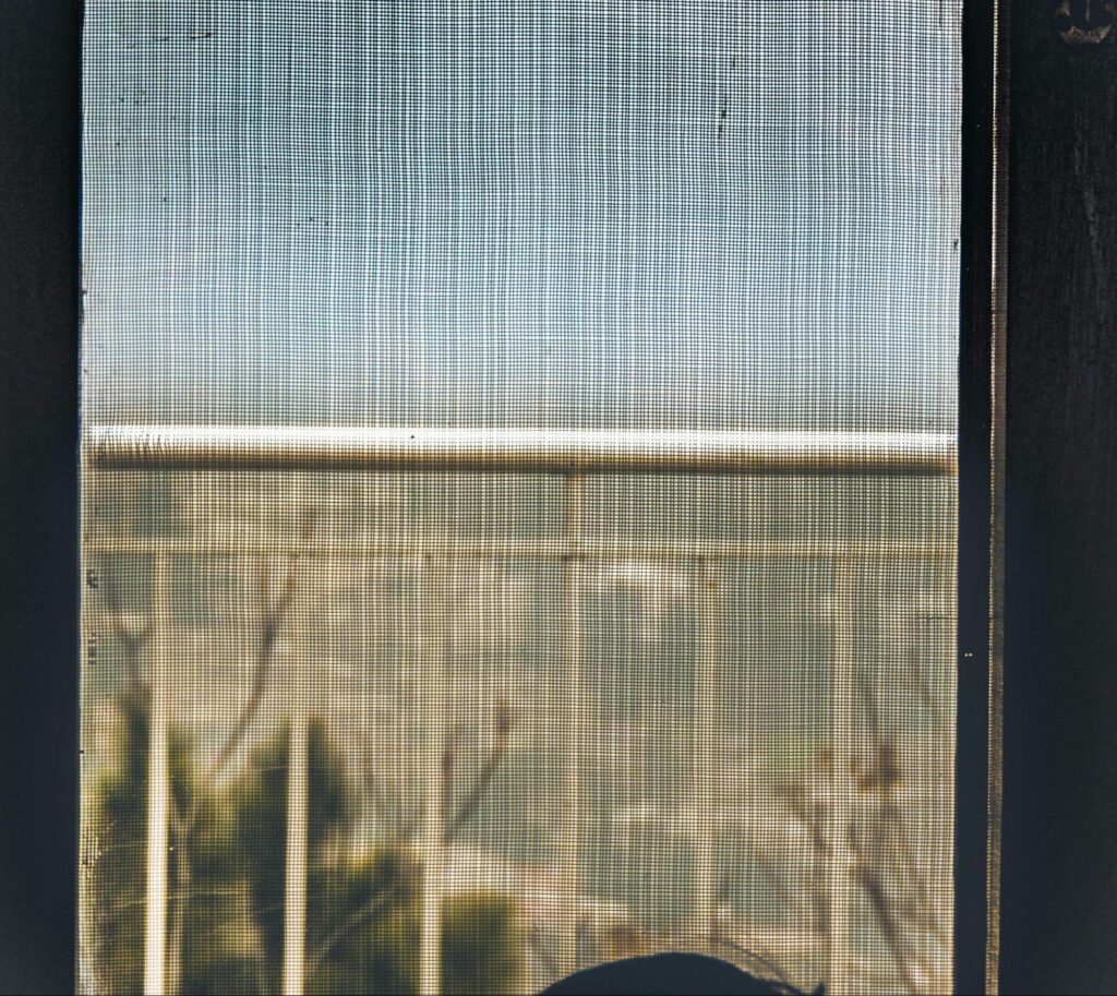 Window Shade